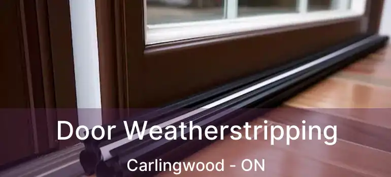  Door Weatherstripping Carlingwood - ON