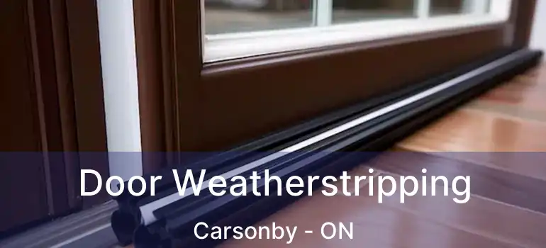  Door Weatherstripping Carsonby - ON