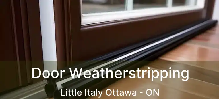  Door Weatherstripping Little Italy Ottawa - ON