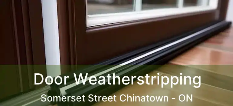  Door Weatherstripping Somerset Street Chinatown - ON