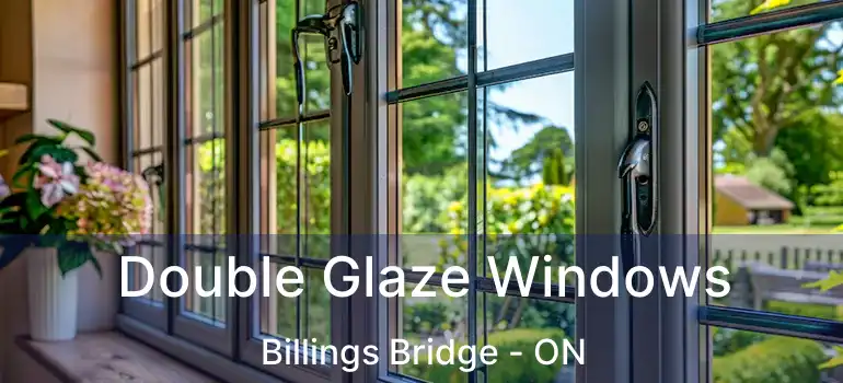  Double Glaze Windows Billings Bridge - ON