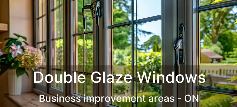  Double Glaze Windows Business improvement areas - ON