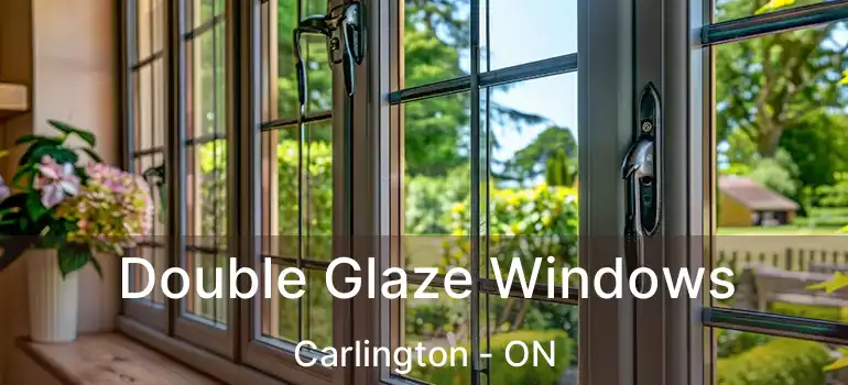  Double Glaze Windows Carlington - ON