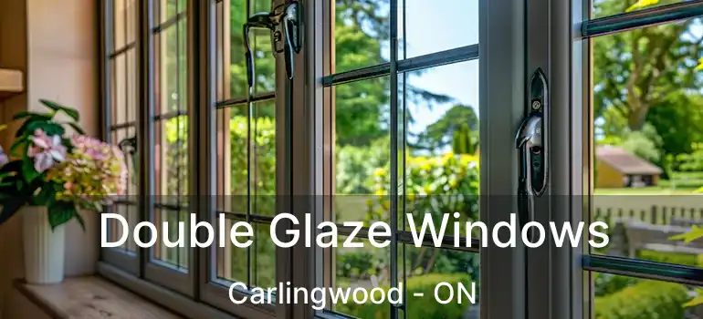  Double Glaze Windows Carlingwood - ON