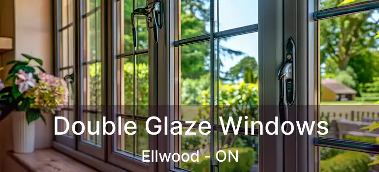  Double Glaze Windows Ellwood - ON