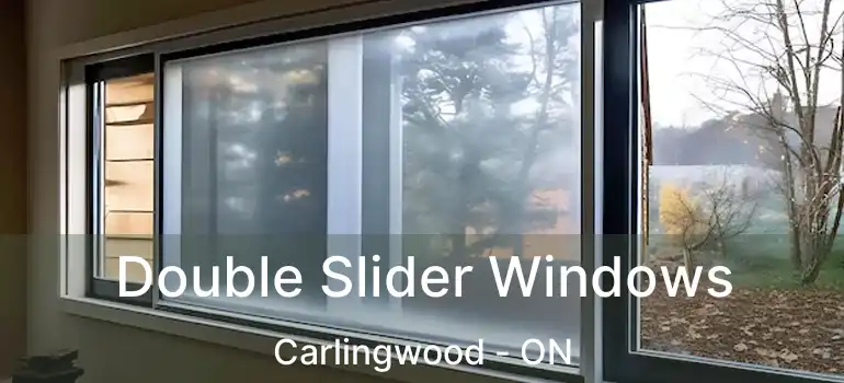  Double Slider Windows Carlingwood - ON