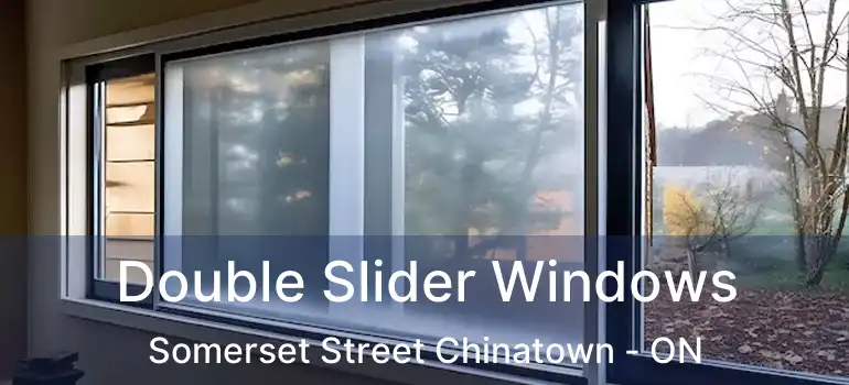  Double Slider Windows Somerset Street Chinatown - ON