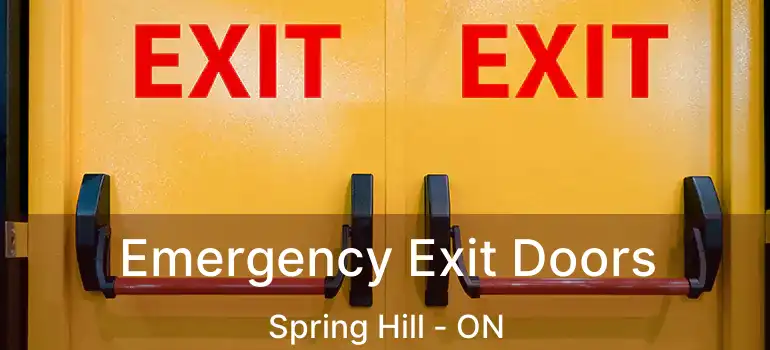  Emergency Exit Doors Spring Hill - ON