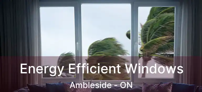  Energy Efficient Windows Ambleside - ON