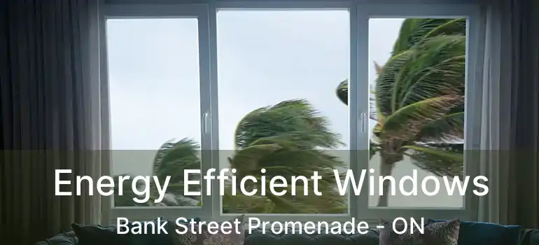  Energy Efficient Windows Bank Street Promenade - ON