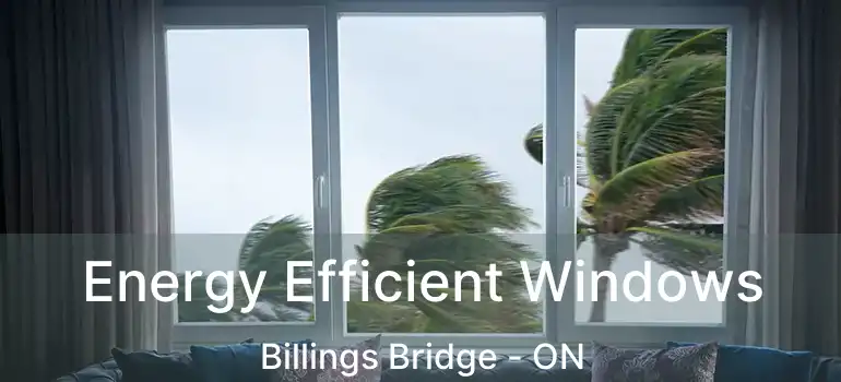  Energy Efficient Windows Billings Bridge - ON