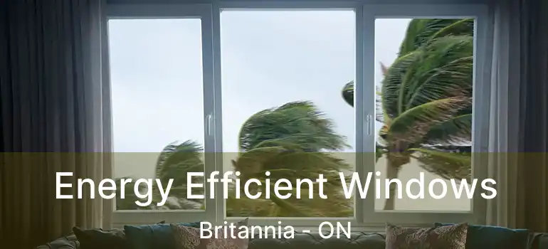  Energy Efficient Windows Britannia - ON