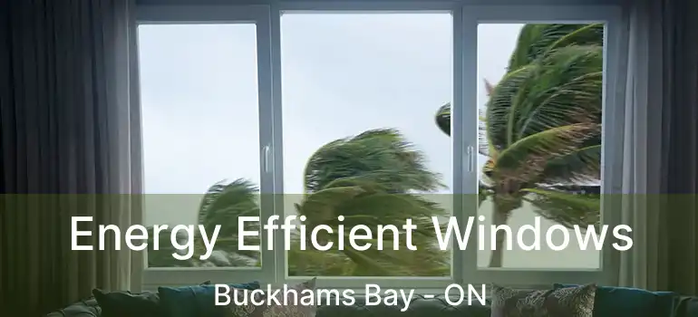  Energy Efficient Windows Buckhams Bay - ON