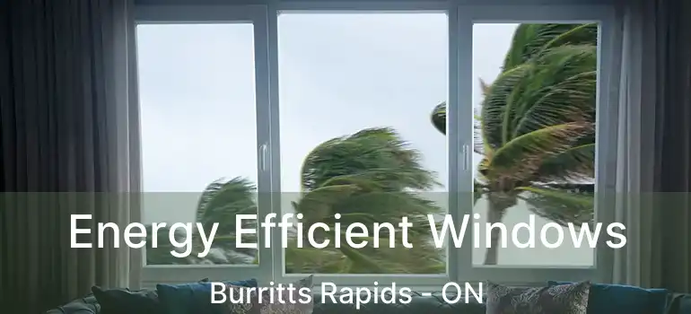  Energy Efficient Windows Burritts Rapids - ON