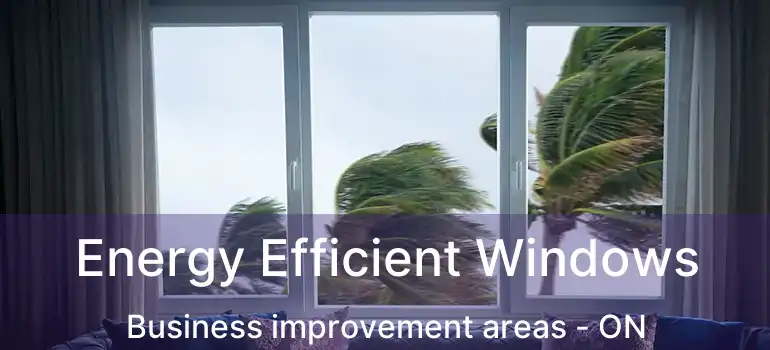  Energy Efficient Windows Business improvement areas - ON