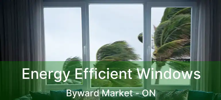  Energy Efficient Windows Byward Market - ON