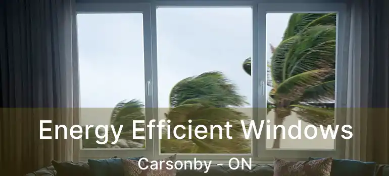  Energy Efficient Windows Carsonby - ON