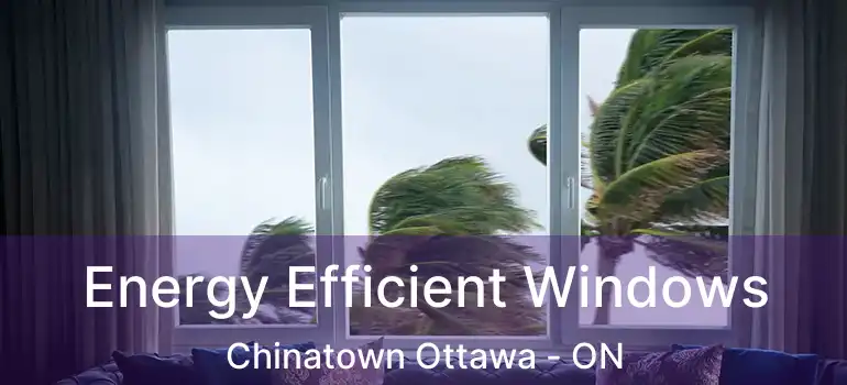  Energy Efficient Windows Chinatown Ottawa - ON