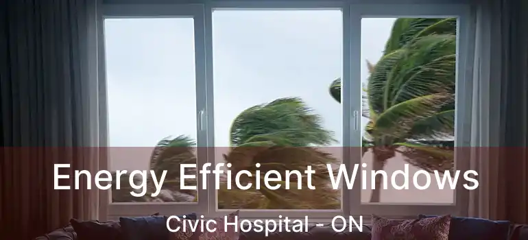  Energy Efficient Windows Civic Hospital - ON