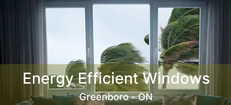  Energy Efficient Windows Greenboro - ON