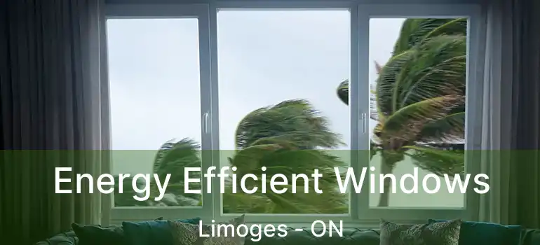  Energy Efficient Windows Limoges - ON