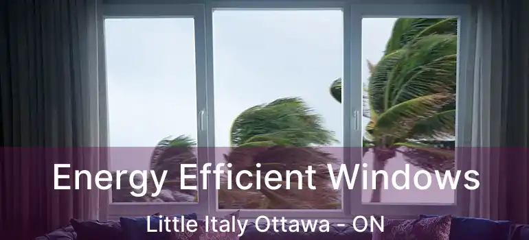  Energy Efficient Windows Little Italy Ottawa - ON