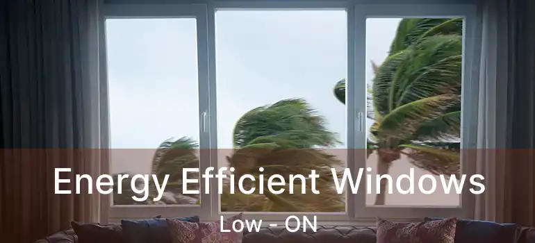  Energy Efficient Windows Low - ON