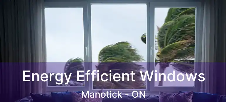  Energy Efficient Windows Manotick - ON