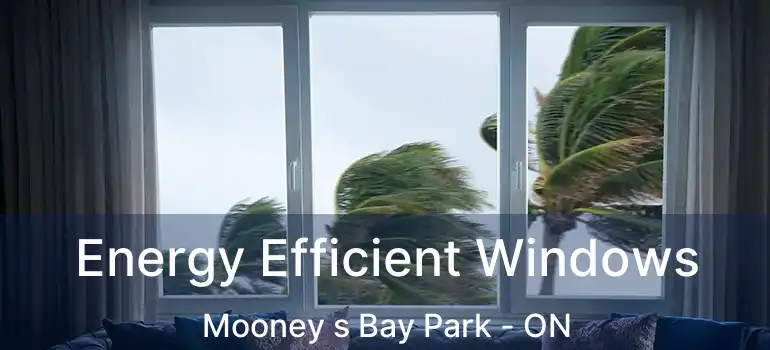  Energy Efficient Windows Mooney s Bay Park - ON