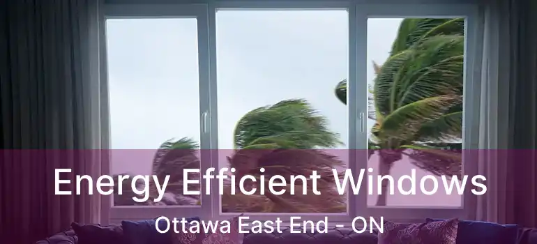  Energy Efficient Windows Ottawa East End - ON