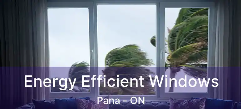  Energy Efficient Windows Pana - ON