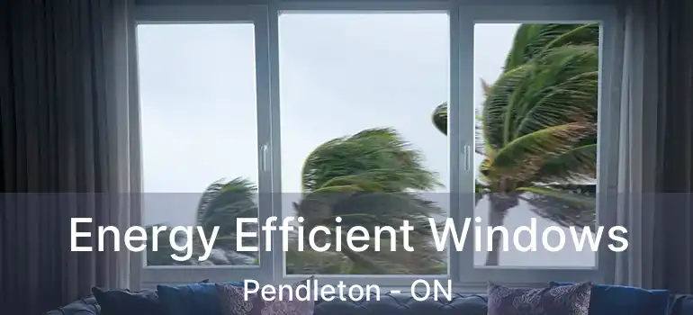  Energy Efficient Windows Pendleton - ON