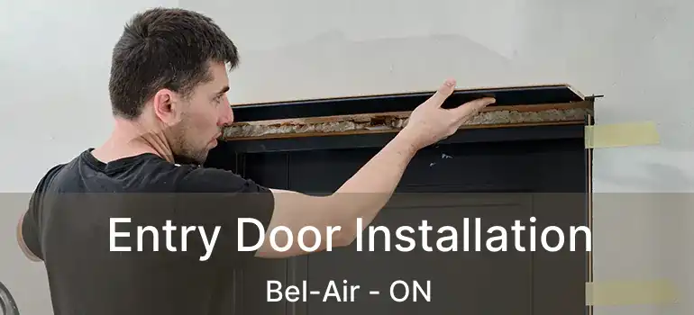  Entry Door Installation Bel-Air - ON