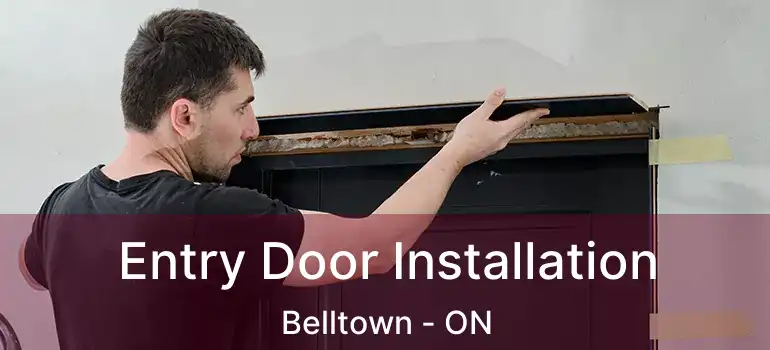  Entry Door Installation Belltown - ON