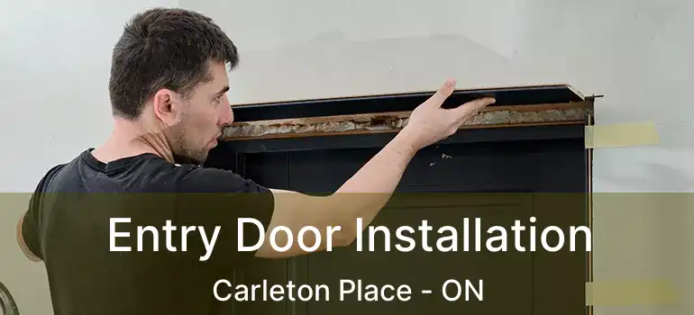  Entry Door Installation Carleton Place - ON