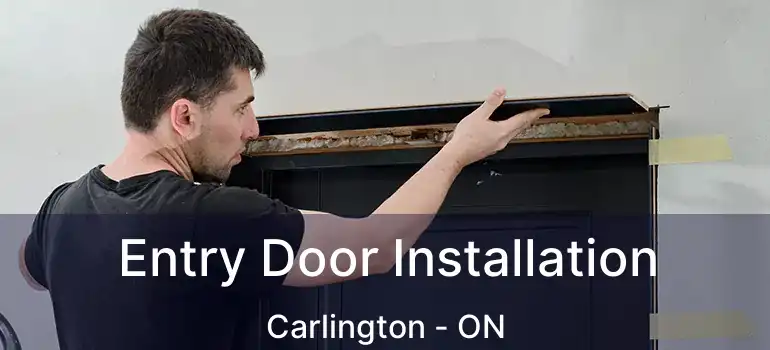  Entry Door Installation Carlington - ON