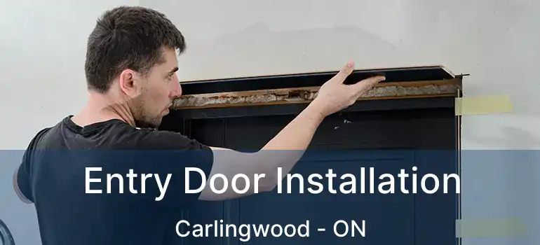  Entry Door Installation Carlingwood - ON