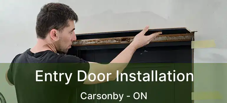  Entry Door Installation Carsonby - ON