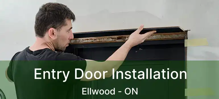  Entry Door Installation Ellwood - ON