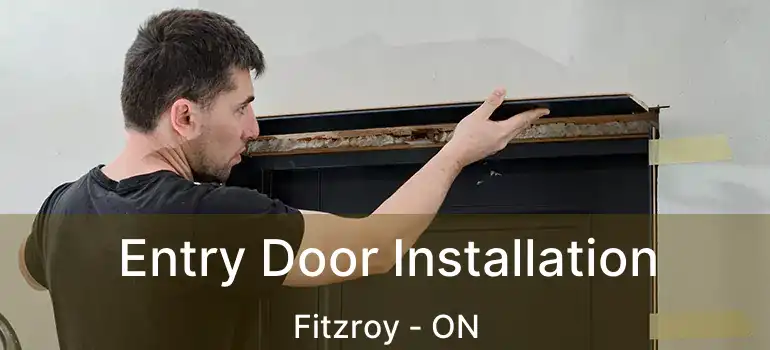  Entry Door Installation Fitzroy - ON