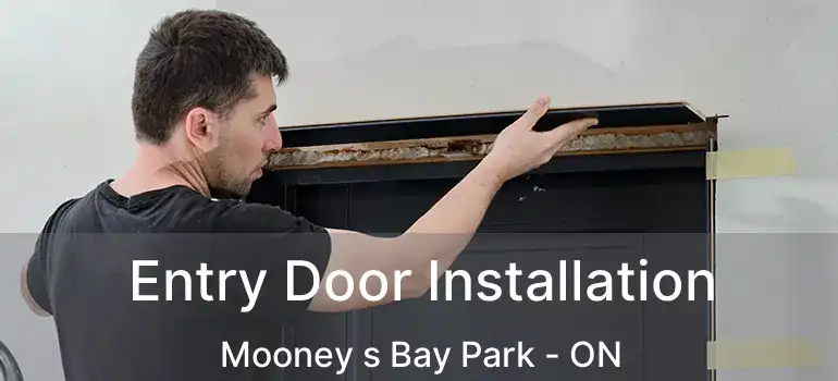  Entry Door Installation Mooney s Bay Park - ON