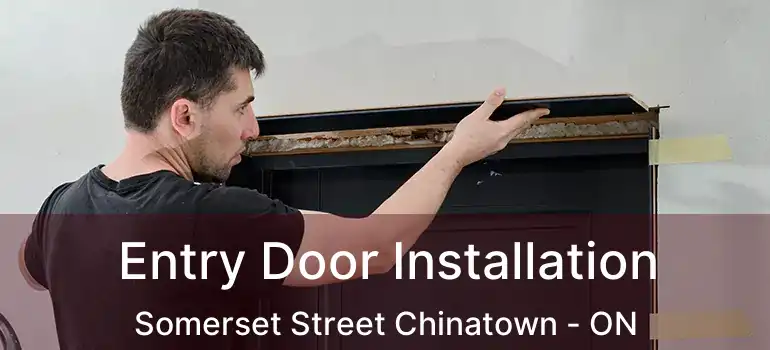  Entry Door Installation Somerset Street Chinatown - ON