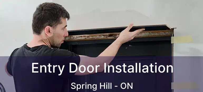  Entry Door Installation Spring Hill - ON