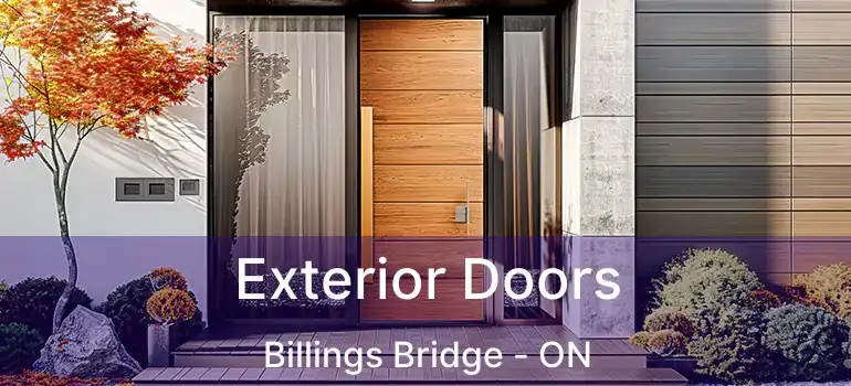  Exterior Doors Billings Bridge - ON