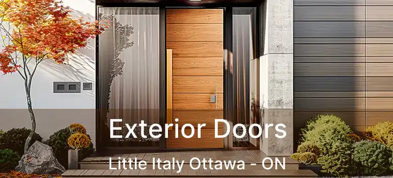  Exterior Doors Little Italy Ottawa - ON