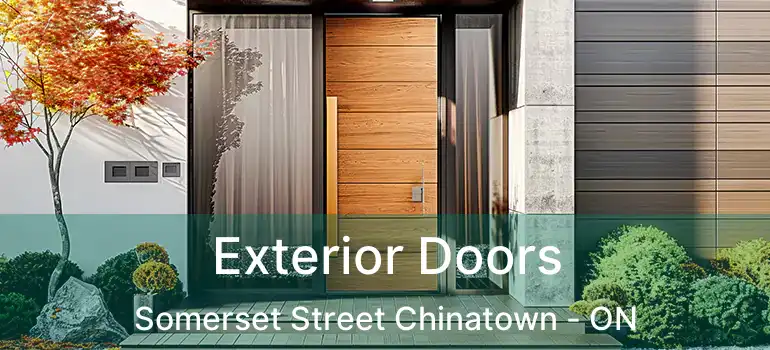  Exterior Doors Somerset Street Chinatown - ON