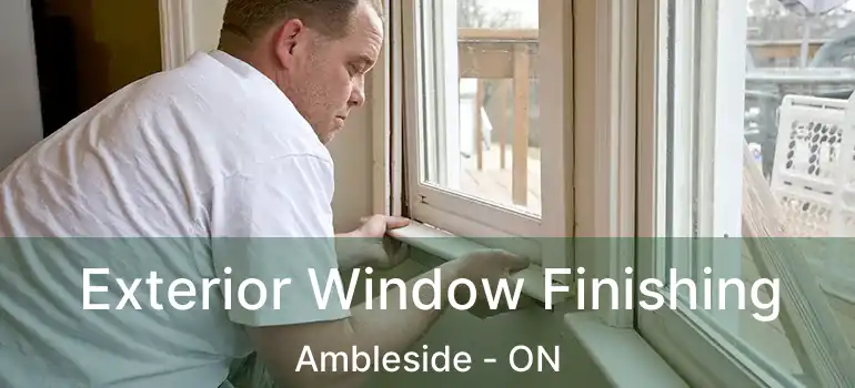  Exterior Window Finishing Ambleside - ON