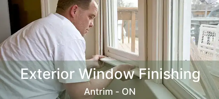  Exterior Window Finishing Antrim - ON