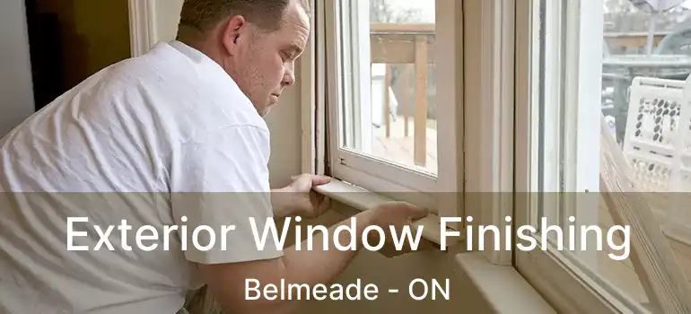  Exterior Window Finishing Belmeade - ON