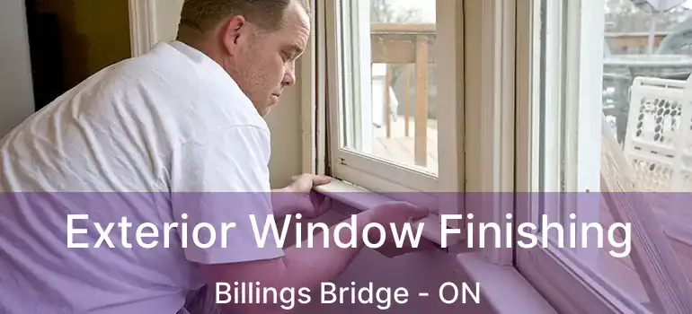  Exterior Window Finishing Billings Bridge - ON